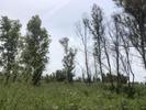  id.5268803