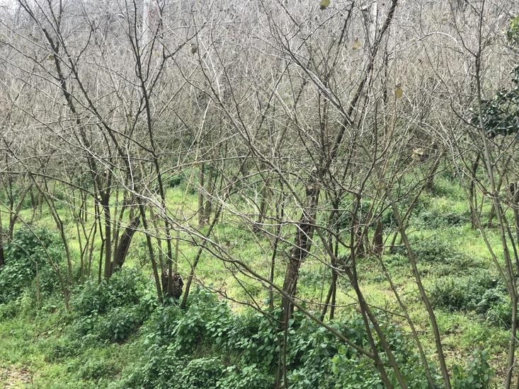  id.5109869