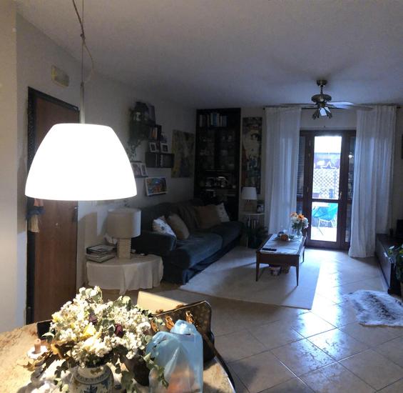  id.5231474