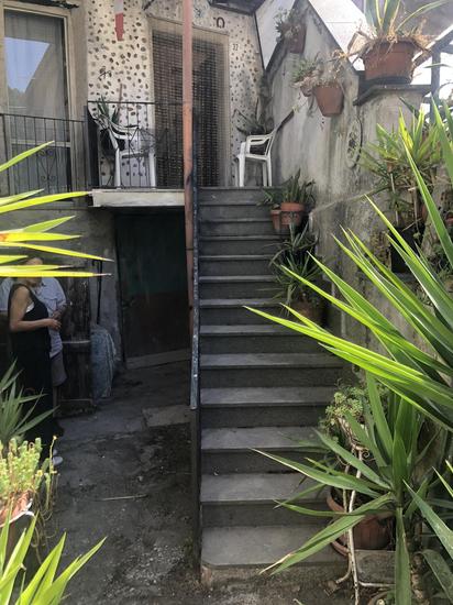  id.5270659