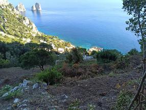Terreno in Vendita a Capri: Un